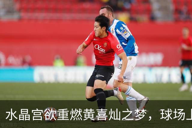 水晶宫欲重燃黄喜灿之梦，球场上的“回归故事”！